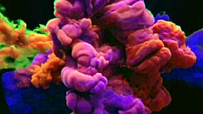 I dragged a dick from the square to my car, see the full creampie.