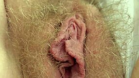 Kypsä pullea milf näyttää karvaisen vittunsa läheltä fetississä