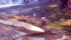 Brazilian Pornstar Double Blowjob Double Penetration Black Sex at Waterfall Veil of Brides