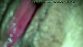 intimate pov closeup of 69ing my wife with dildo, feeling her passion