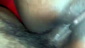 having fun with tattooed pornstar in wild session