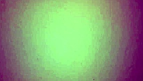 My Colombian gives the best blowjob, you should try it.