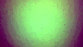 My Colombian gives the best blowjob, you should try it.