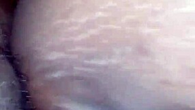 having fun with tattooed pornstar in wild session