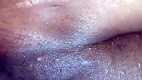 having fun with tattooed pornstar in wild session