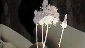 Jeg bedrog min kæreste med min vintage bofælle