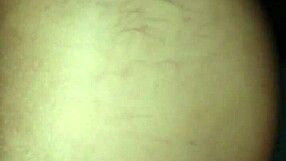 pussy tv solo show, wanna see this shemale star shine tonight?