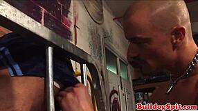 caged euro sub dominated by skinhead