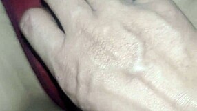 my neighbor during christmas time