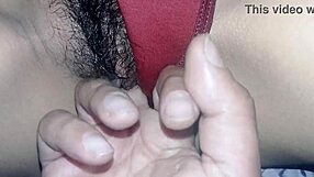 my neighbor during christmas time