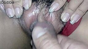 my neighbor during christmas time