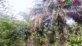 Bbw eastsidebabe gets rough in forest