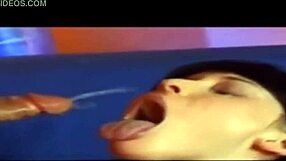 this short clip number one from the video collection