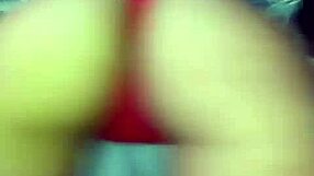 Chini wini bingo hot 3