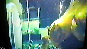 my wife the blowjob goddess teases with big tits