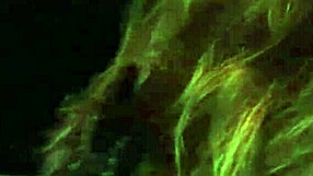 the street whore gets handcuffed and fucked hard in her fur coat and stockings. what a hardcore scene.