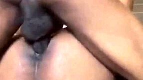 Monkey Missionary Action With Wifey in Hot Couple Session