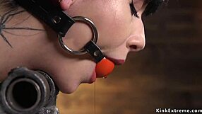 Watch This Brunette Get Fucked In Doggy Bondage Device!