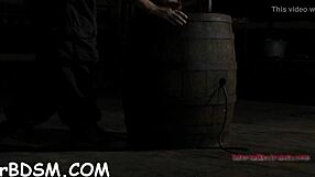 whipping and sucking in sadomasochism