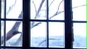 Africanabuse's interracial hardcore turns sex for cash into shaved pussy oral