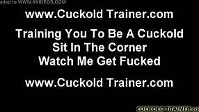 You Are My Favorite Cuckold Slave!