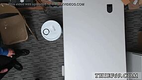 Border Patrol Catches Attempted Theft!