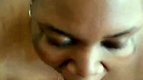 Can Evie Handle Druffbandit's Sloppy BBW Blowjob With Monster Cock?