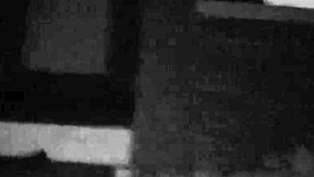 Ghetto hood stlouis trap freak fucked in the trap