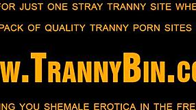 Latin Shemale Masturbates Solo!