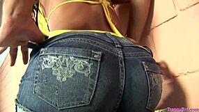 Latin Shemale Masturbates Solo!