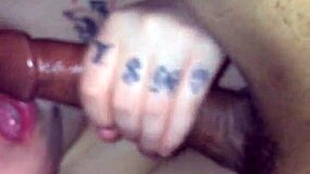 European Trim Video Featuring Scenic Locations And Cultural Insights