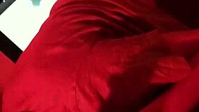 Beautiful darcy dark gives blowjob to big cock