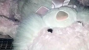 Me fucking my bunny in my friends shed