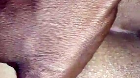 Desi Indian Bent Over for Hard Doggy Fuck