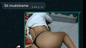 Drunk neighbor forgets last night