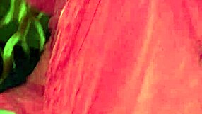 i creampied my cousin's pussy during unprotected sex after blowjob