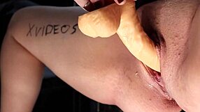 Verification Video With Toys