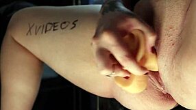 Verification Video With Toys