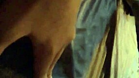 Lil squishy point of view