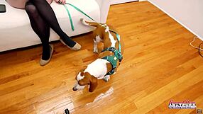 Yo, Phoenix Rae tries clothes then gets railed hard!