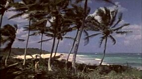 Dark Lantern Entertainment presents vintage beach scenes with natural tits and retro pussy views.