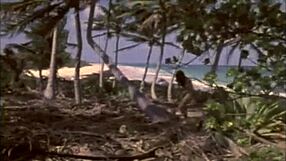 Dark Lantern Entertainment presents vintage beach scenes with natural tits and retro pussy views.