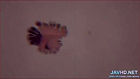 Have you seen these luxurious asian tits?