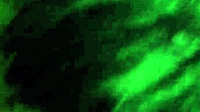 Exciting Amateur Sex Scenes From Various Videos!