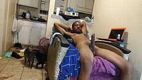 A cuckold finds a black girl with big tits and a large black cock to suck