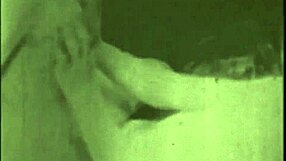 two centuries of vintage erotic delights