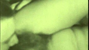 two centuries of vintage erotic delights