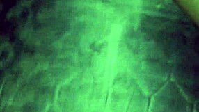 Amateurs Engage In Hardcore Action