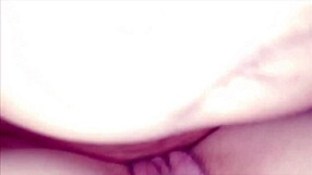 compilation of creampies for my sister-in-law