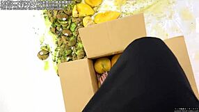 the story of crushing food in a fetish video